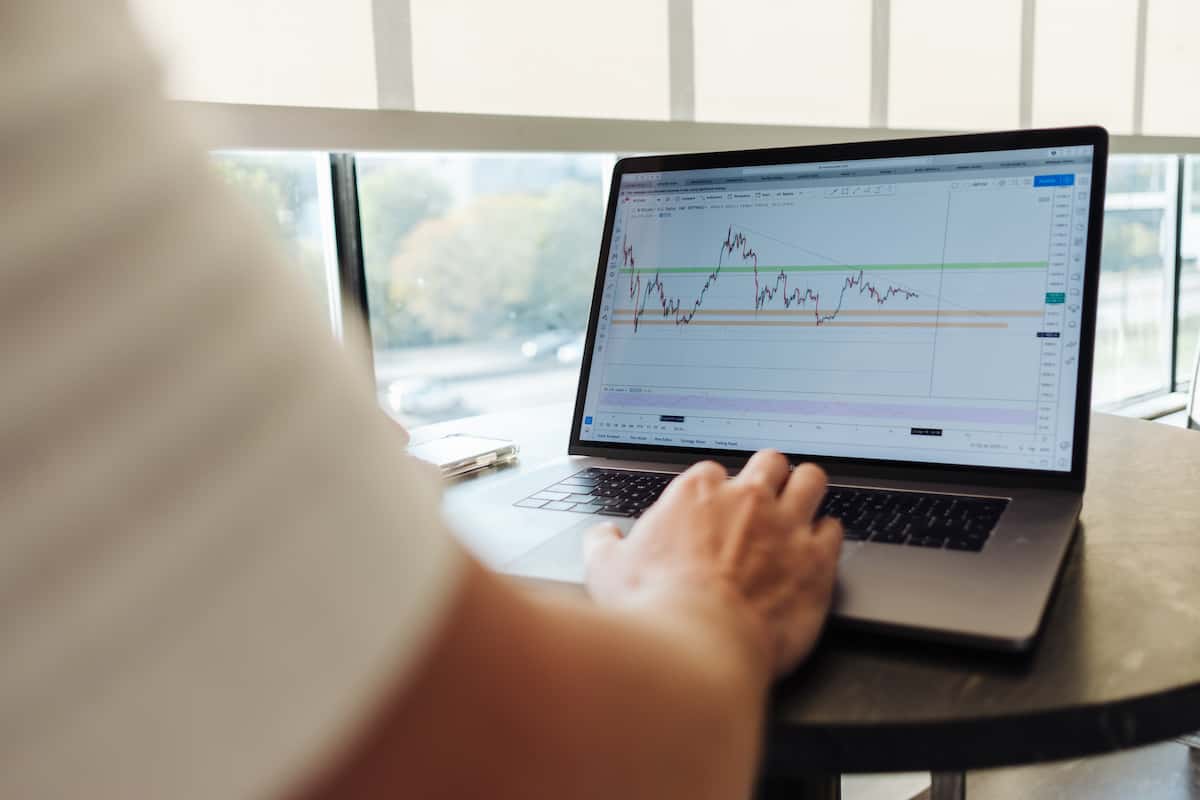 Check Stocks Every Day