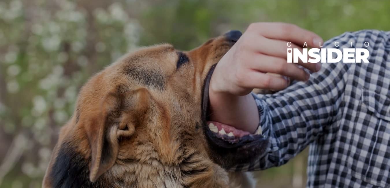 Dog bite injury