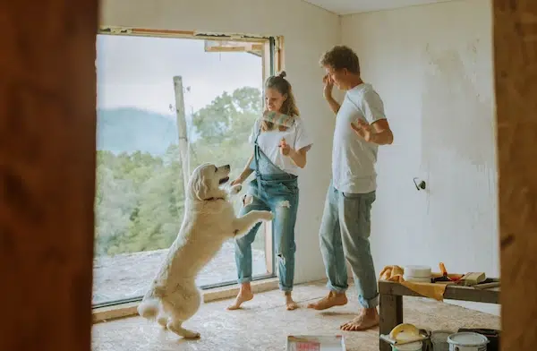House Flip