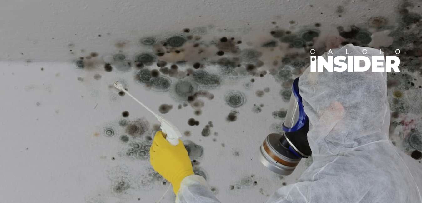 Mold Assessment